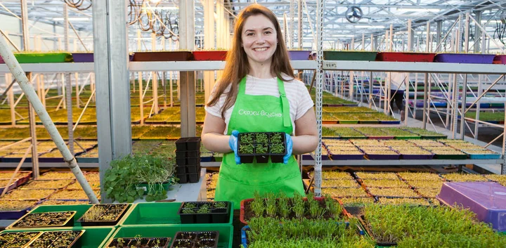 Польза в каждом листочке: микрозелень из Петербурга