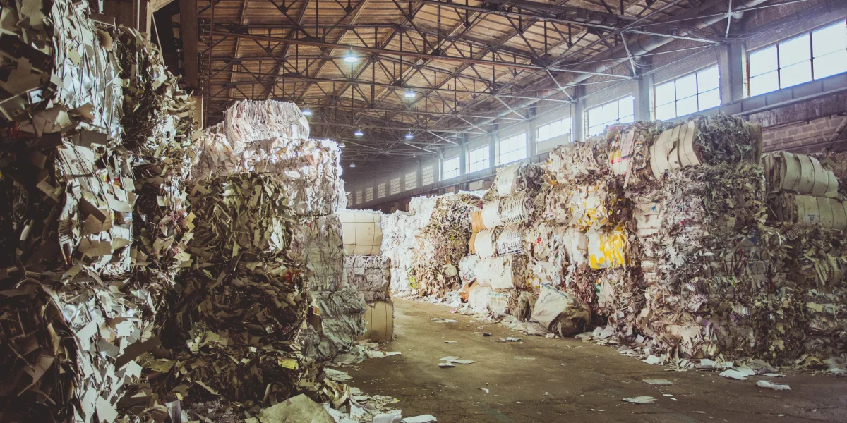 Туалетная бумага из макулатуры: экскурсия на экологичное производство