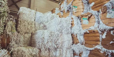 Туалетная бумага из макулатуры: экскурсия на экологичное производство