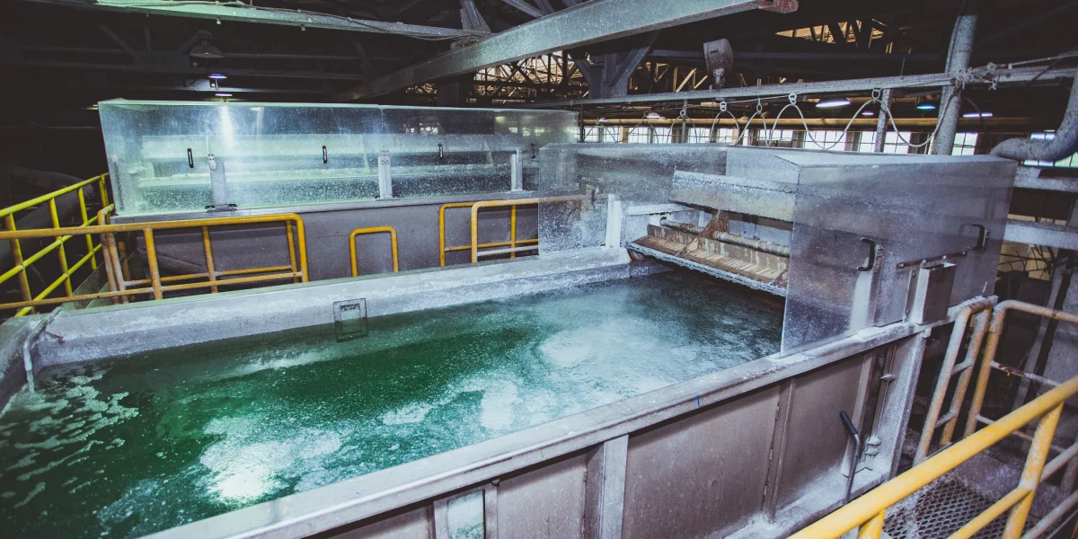 Туалетная бумага из макулатуры: экскурсия на экологичное производство