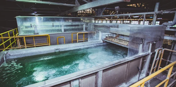 Туалетная бумага из макулатуры: экскурсия на экологичное производство