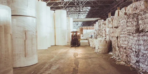 Туалетная бумага из макулатуры: экскурсия на экологичное производство