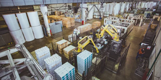 Туалетная бумага из макулатуры: экскурсия на экологичное производство