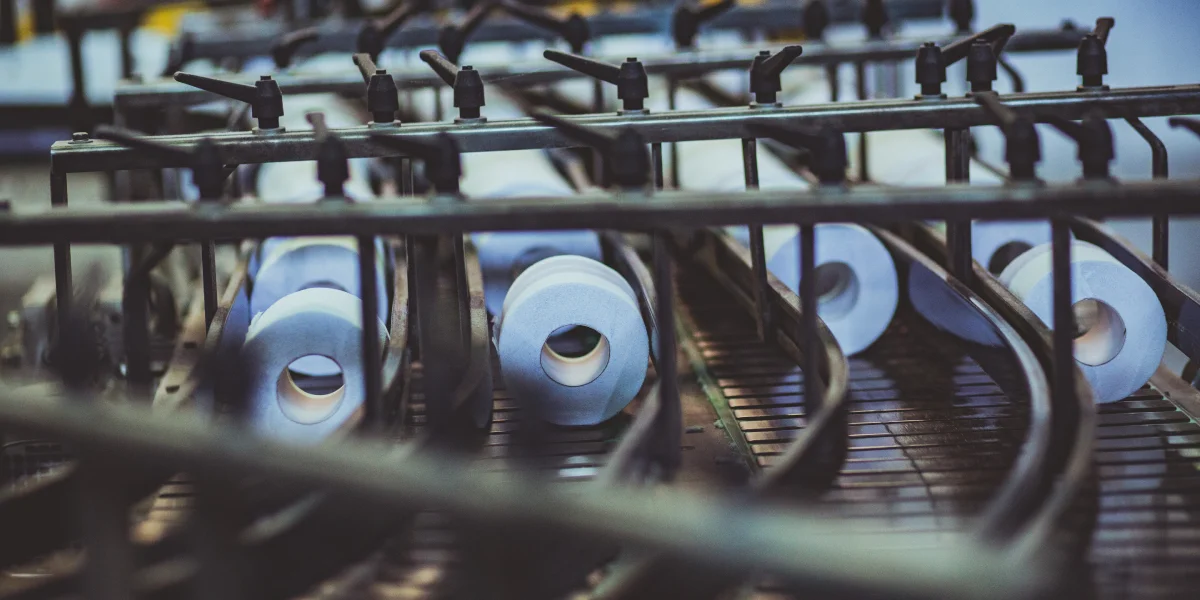 Туалетная бумага из макулатуры: экскурсия на экологичное производство