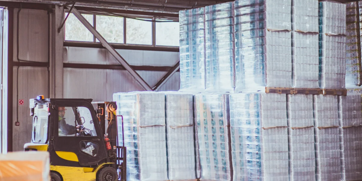 Туалетная бумага из макулатуры: экскурсия на экологичное производство