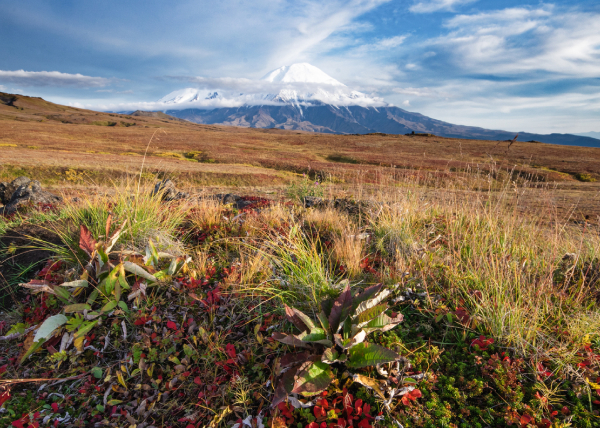 Тест аборигены-1.jpg