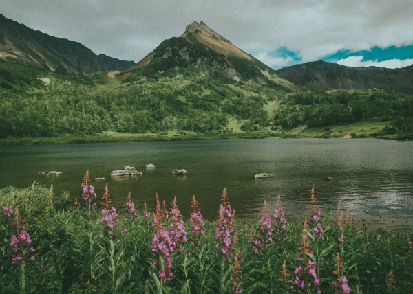 Тест аборигены-9.jpg