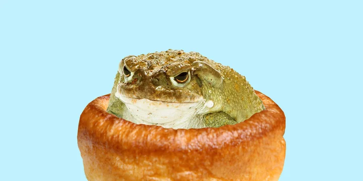 Тест: угадайте, съедобное или несъедобное