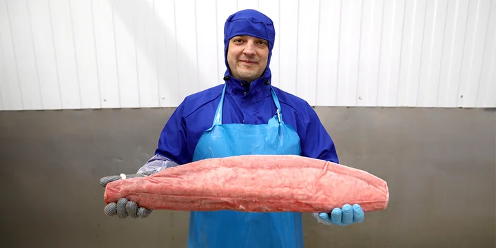 Крупная рыба, или Кто осилит 48 тысяч креветок за день