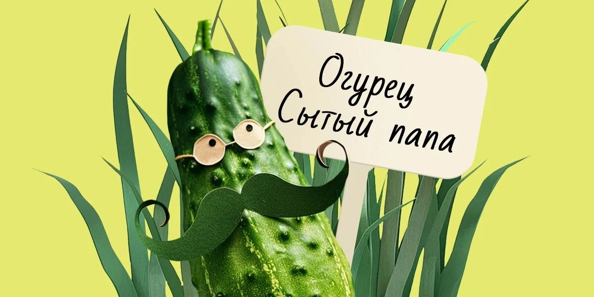 Тыква «красная малышка» и&nbsp;салат «успех»: как придумывают названия семенам