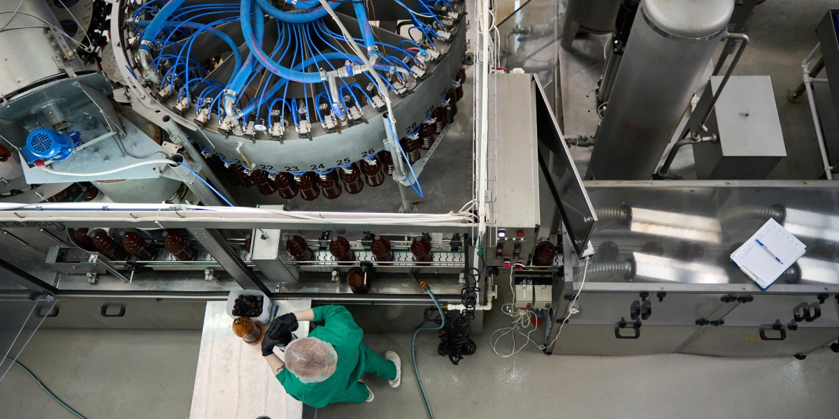 Квасика жанра: как делают ферментированные напитки в&nbsp;Муроме