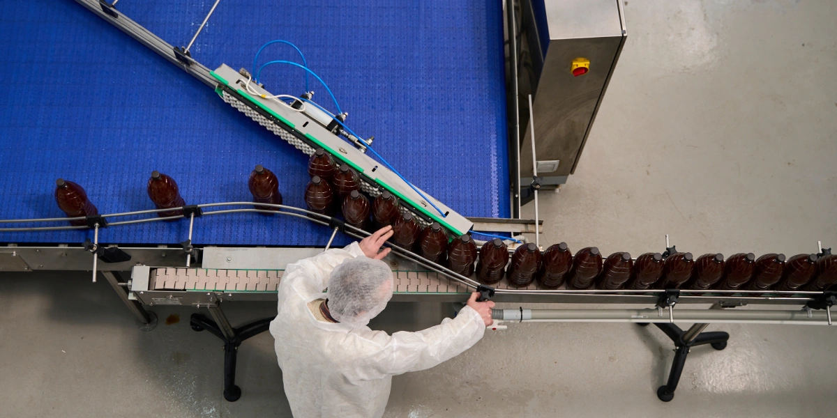 Квасика жанра: как делают ферментированные напитки в&nbsp;Муроме