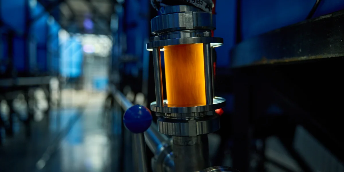 Квасика жанра: как делают ферментированные напитки в Муроме