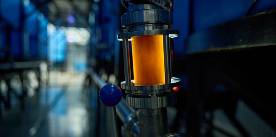 Квасика жанра: как делают ферментированные напитки в&nbsp;Муроме