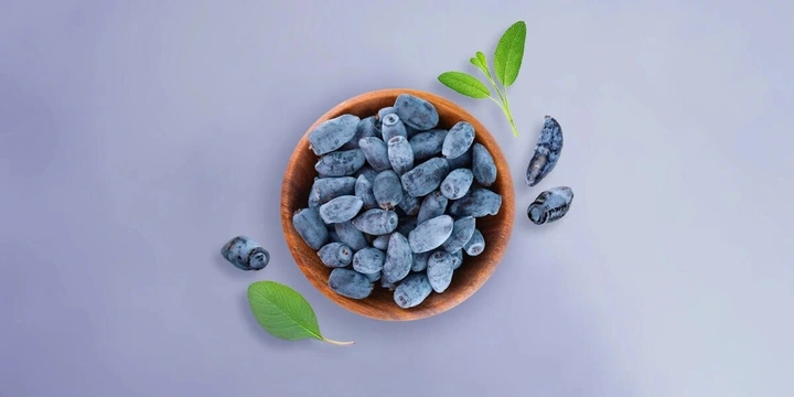 Что такое жимолость и&nbsp;чем она полезна