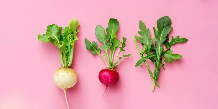 Репа, редька, редис и рукола: что с ними сделать, чтобы было вкусно