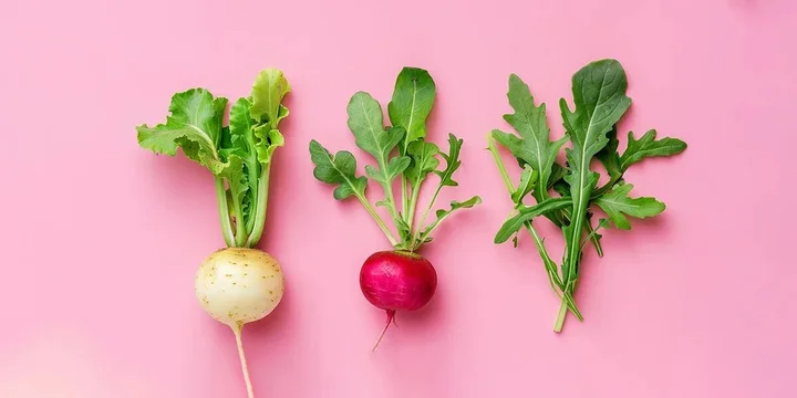 Репа, редька, редис и рукола: что с ними сделать, чтобы было вкусно