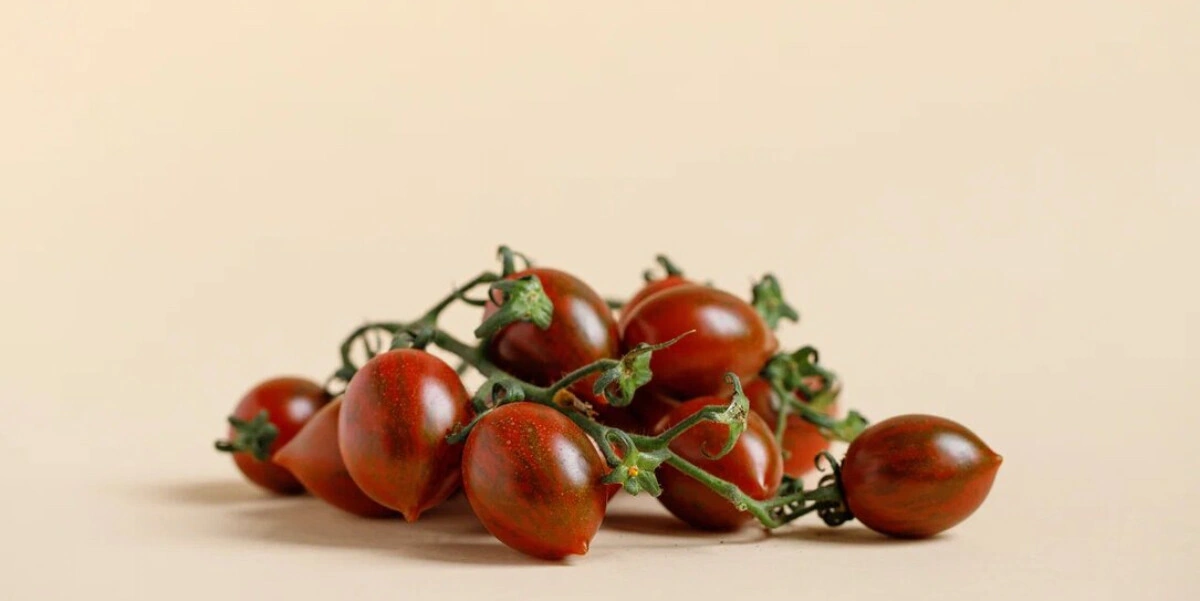 Помидоры способны на&nbsp;большее. Пять сортов с&nbsp;ростовского рынка и&nbsp;с&nbsp;чем их едят