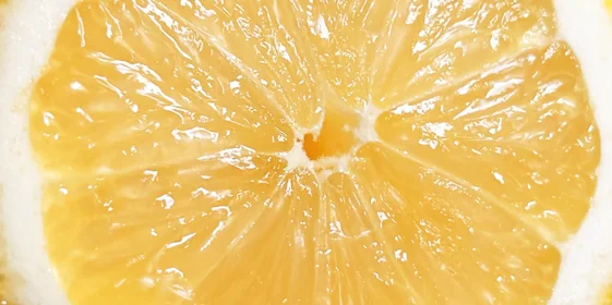 Как наш дизайнер Маша делала комбучу с лимоном, ежевикой и манго