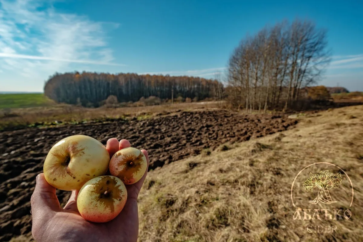 Фото из личного архива Яна Йираско