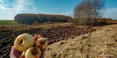 Фото из личного архива Яна Йираско