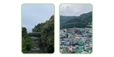 Токпокки, твигим и&nbsp;айсыкрым: обзор стритфуда Кореи от&nbsp;шеф-редактора