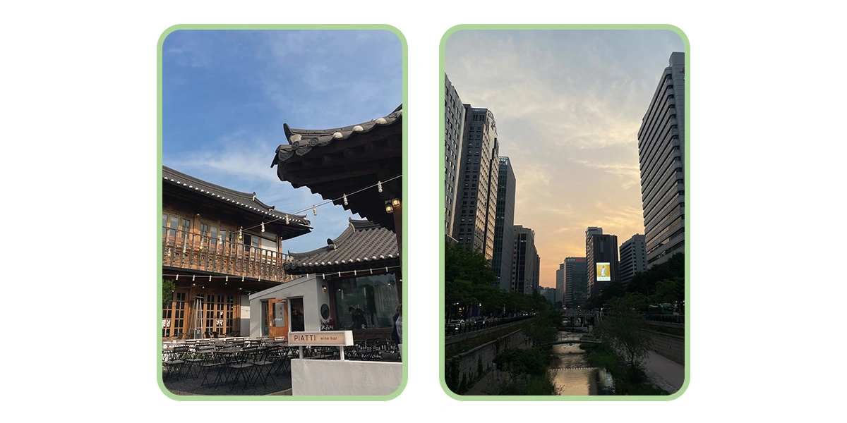 Токпокки, твигим и&nbsp;айсыкрым: обзор стритфуда Кореи от&nbsp;шеф-редактора