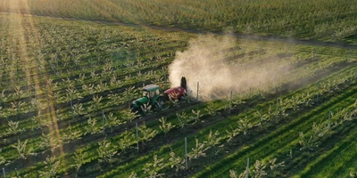 Яблочная матрица. Агроном против&nbsp;мороза, червяка и&nbsp;зайца