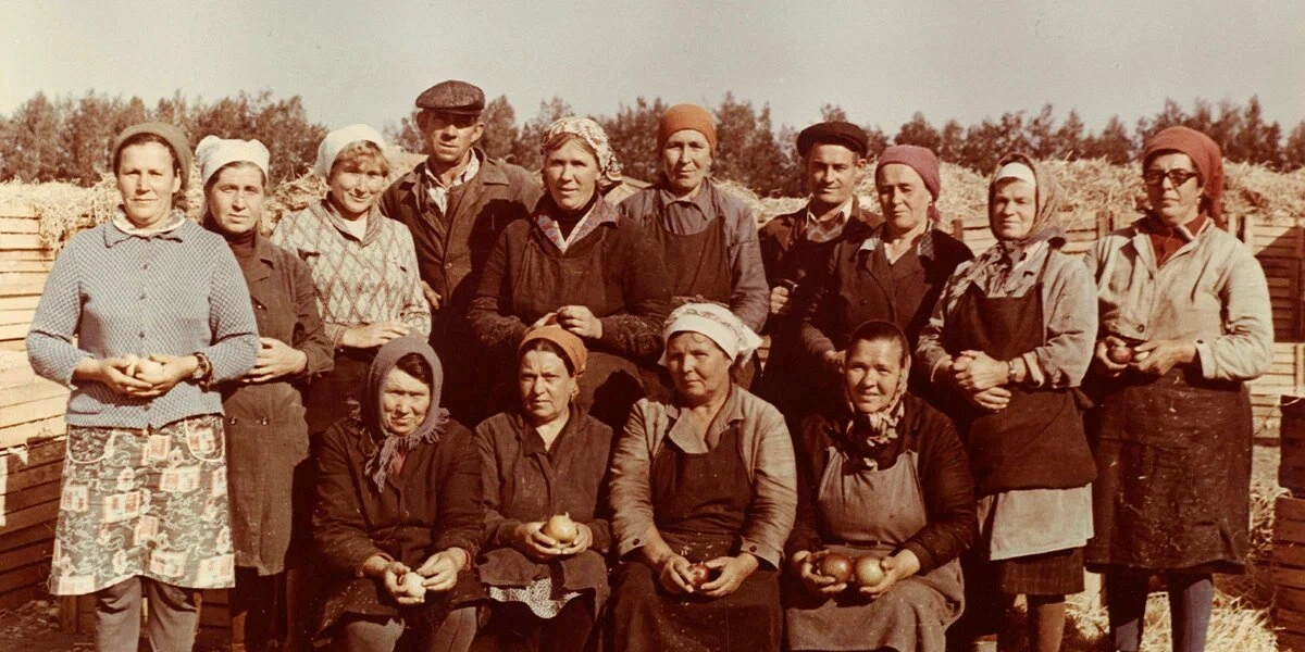 Яблочная матрица. Агроном против&nbsp;мороза, червяка и&nbsp;зайца