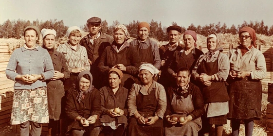 Яблочная матрица. Агроном против&nbsp;мороза, червяка и&nbsp;зайца