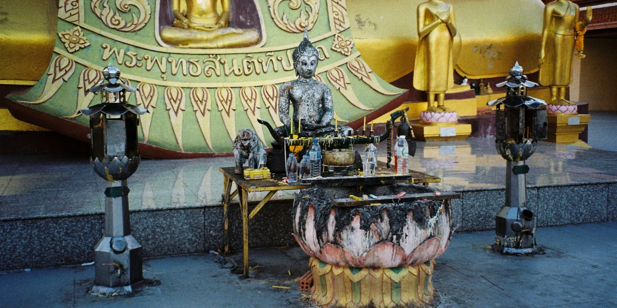 Кот на борту, языковой барьер и овсянка за 700 рублей: реальная жизнь в Таиланде