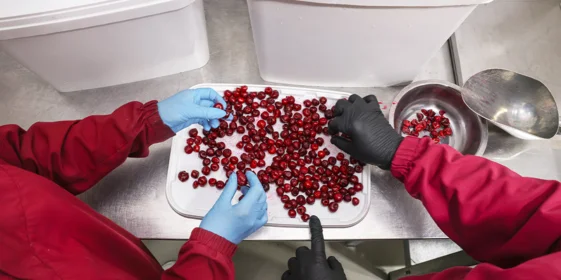 Так производят знаменитый десерт «Вишня-кола»