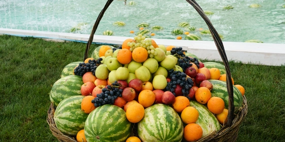 Сабантуй-2024 в Казани. Фото: Салават Каламетдинов для «Татар-информ»