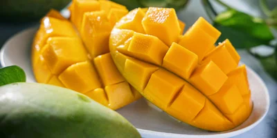 Топ-10 самых интересных новинок августа