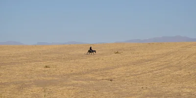 Дорога на Джизак: кто стоит за производством дынь для ВкусВилла