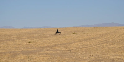 Дорога на Джизак: кто стоит за производством дынь для ВкусВилла