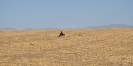 Дорога на Джизак: кто стоит за производством дынь для ВкусВилла