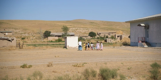 Дорога на Джизак: кто стоит за производством дынь для ВкусВилла