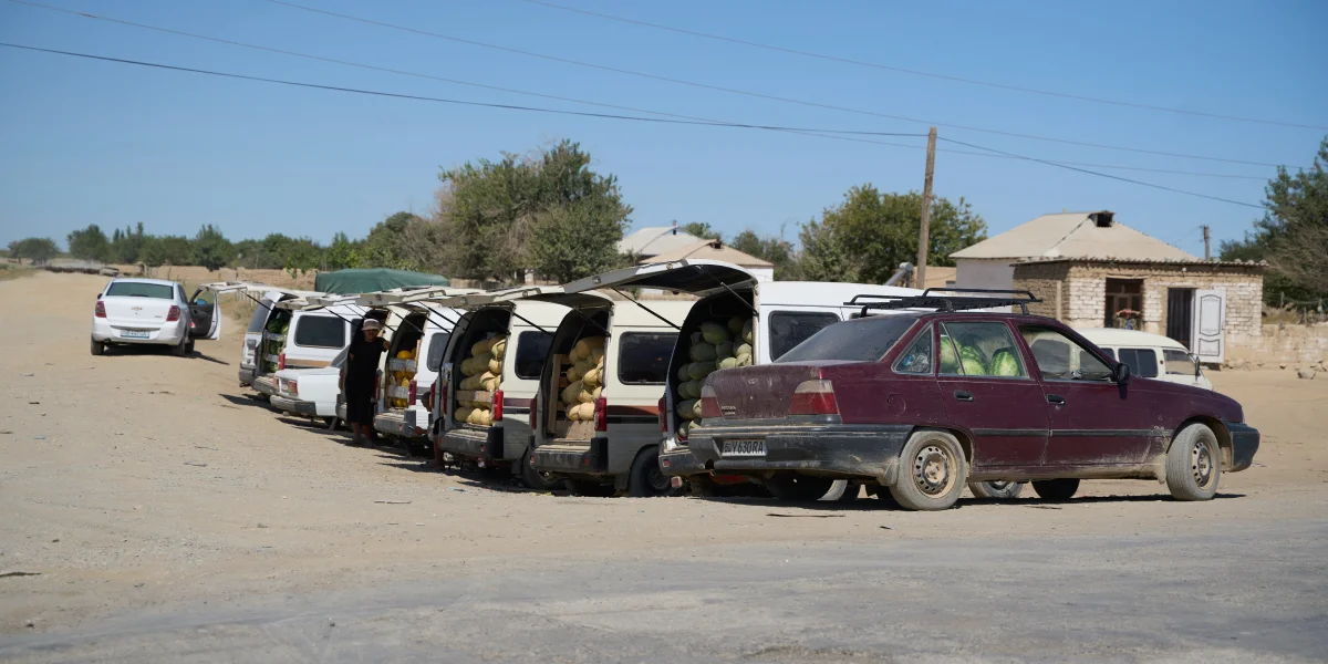 Дорога на Джизак: кто стоит за производством дынь для ВкусВилла