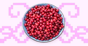 От репы до&nbsp;«карельской тоски»: цикл жизни северных ягод 