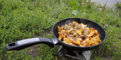 Коронный рецепт и табличка в Exсel: собираемся в поход по Карелии 