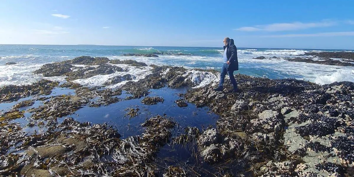 Грибы, ягоды и виды Командорских островов. Фото из личного архива Антона Сальникова