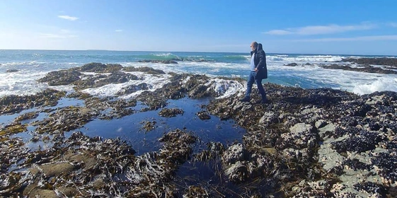 Грибы, ягоды и виды Командорских островов. Фото из личного архива Антона Сальникова