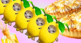 Лимон не уходит, лимон остаётся. Тренд на маленький жёлтый фрукт: от тарта до пива