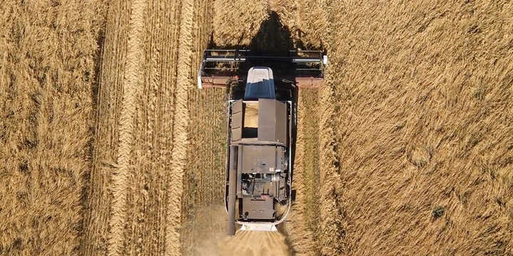 Овсяная каша без&nbsp;глютена: где мы её нашли