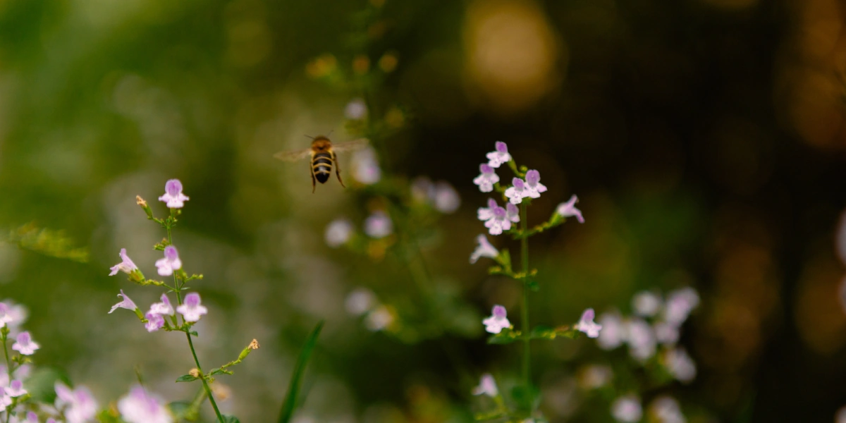 Повод есть: Коломна, пастила и&nbsp;Достоевский наизнанку