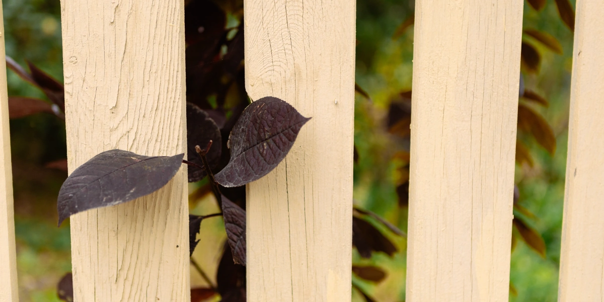 Повод есть: Коломна, пастила и&nbsp;Достоевский наизнанку