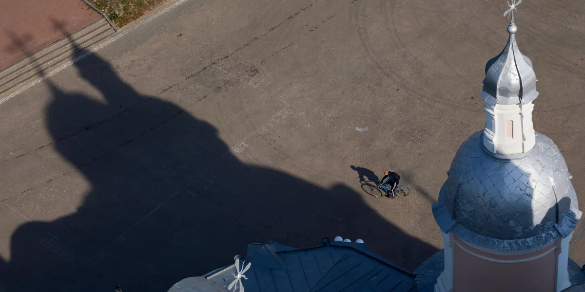 Какого поля ягода: редакция нашла в лесу замороженные дикоросы