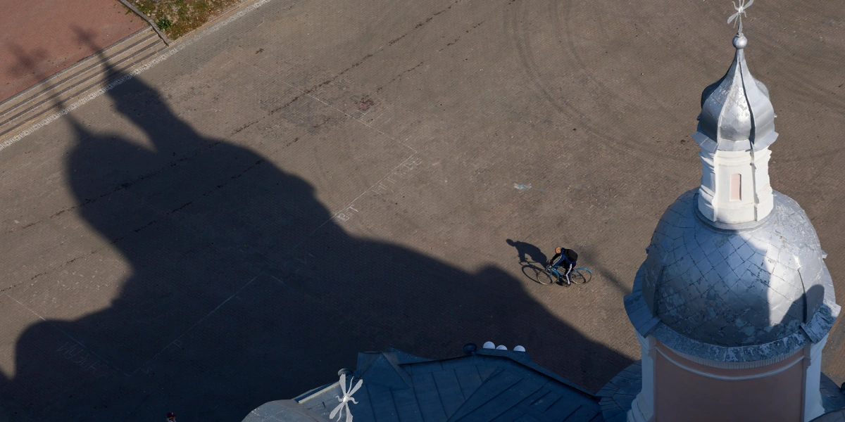 Какого поля ягода: редакция нашла в лесу замороженные дикоросы