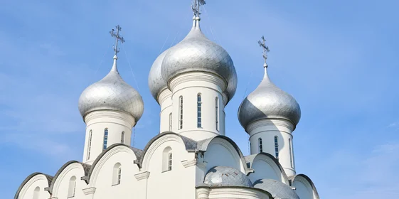 Какого поля ягода: редакция нашла в лесу замороженные дикоросы